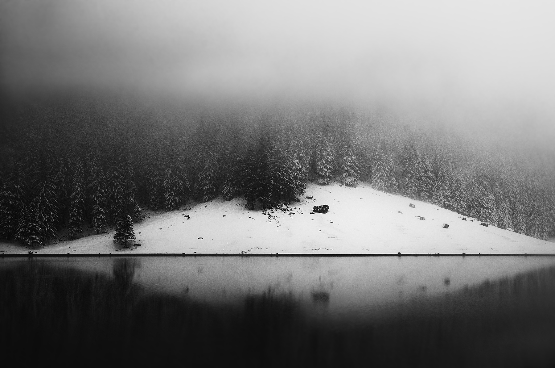 seealpsee, winter, nebel
