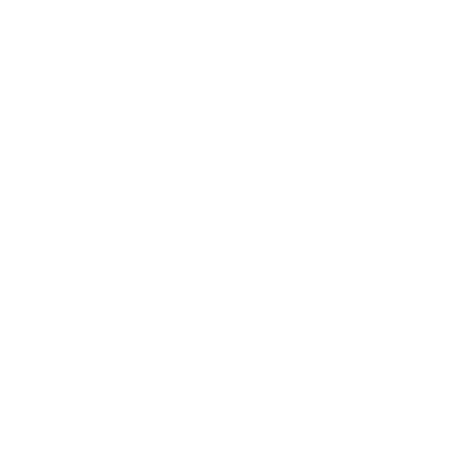 Fox Art Design