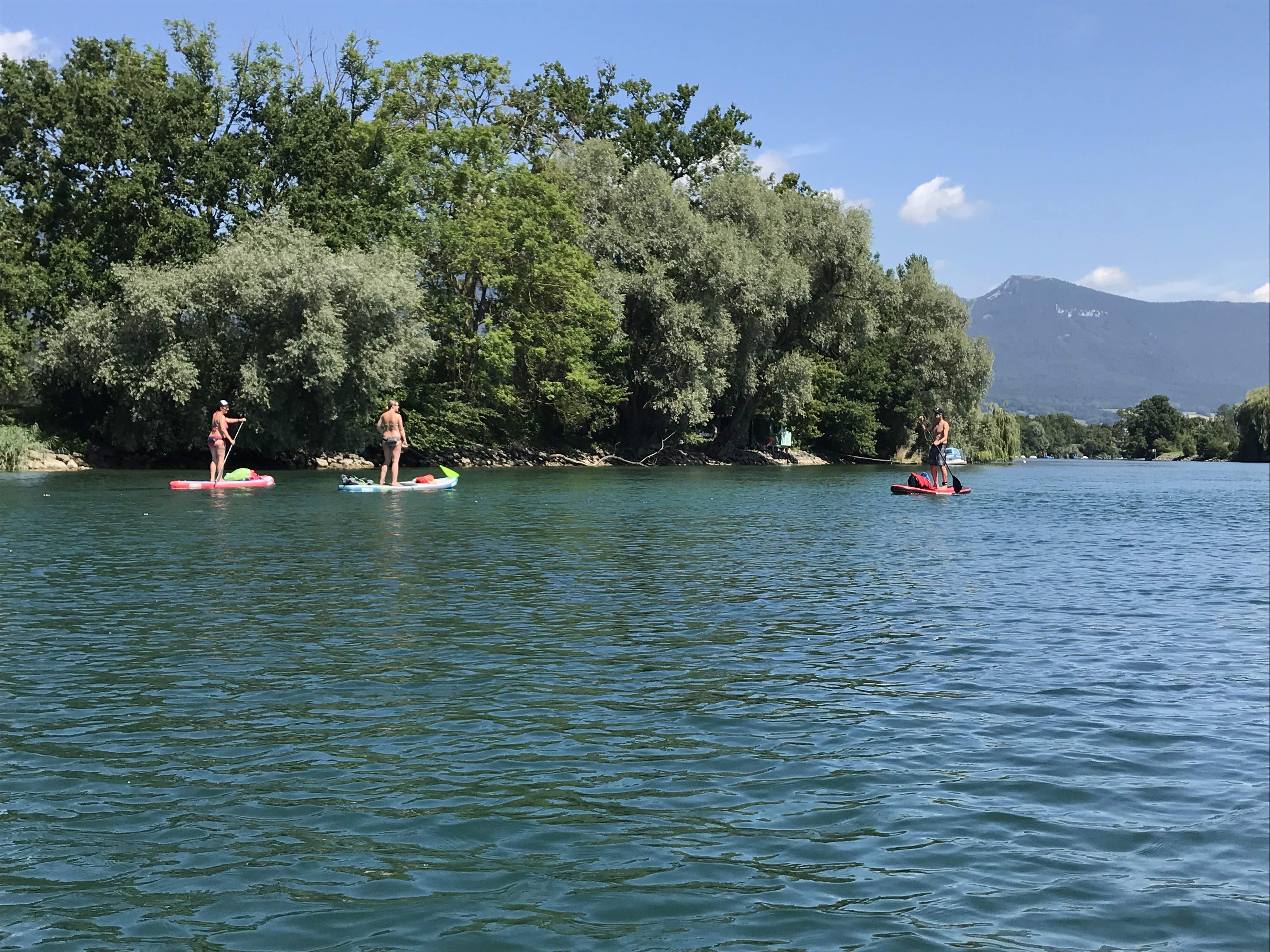 8/4 - Peaceful SUP cruise on the Aare river