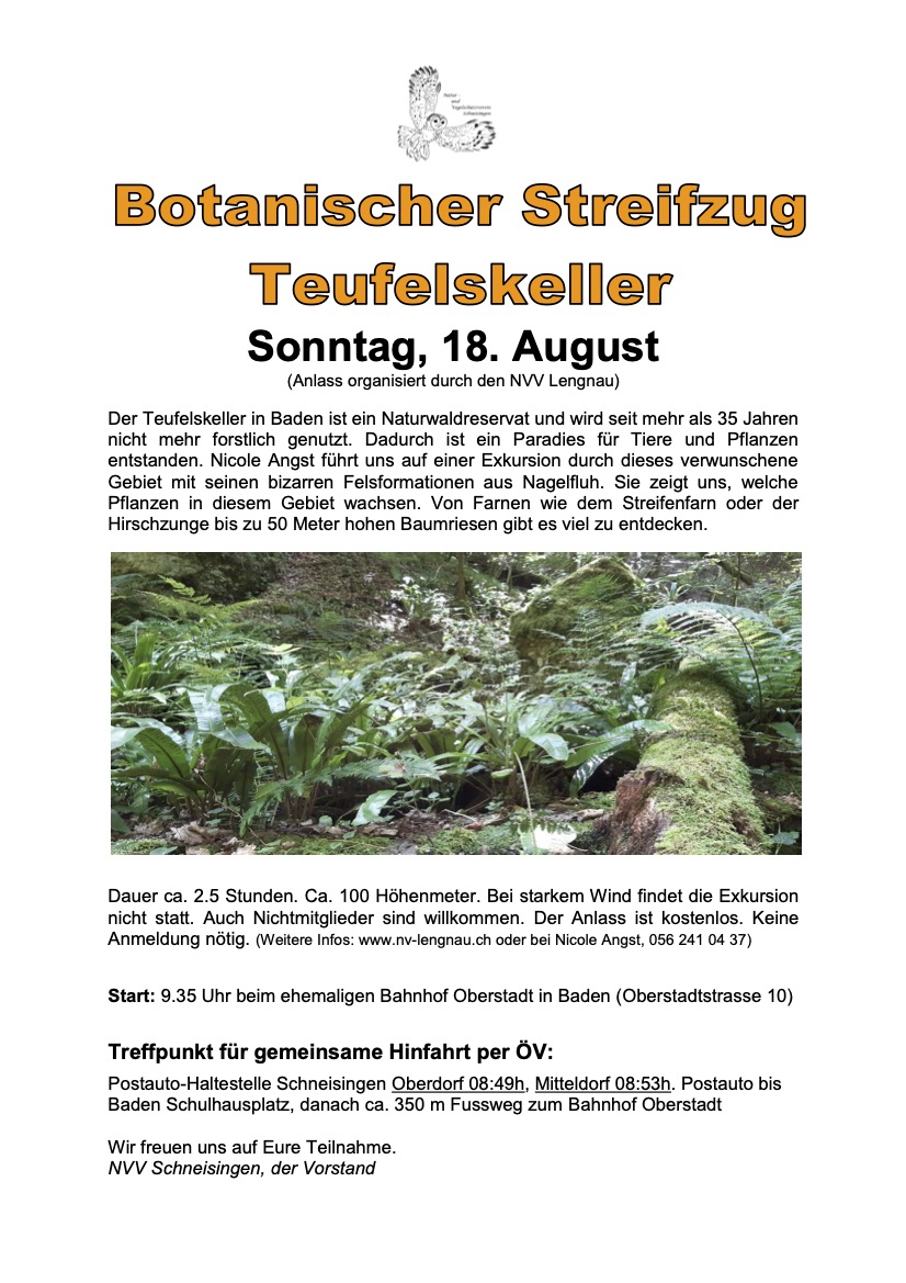 Flyer Teufelskeller