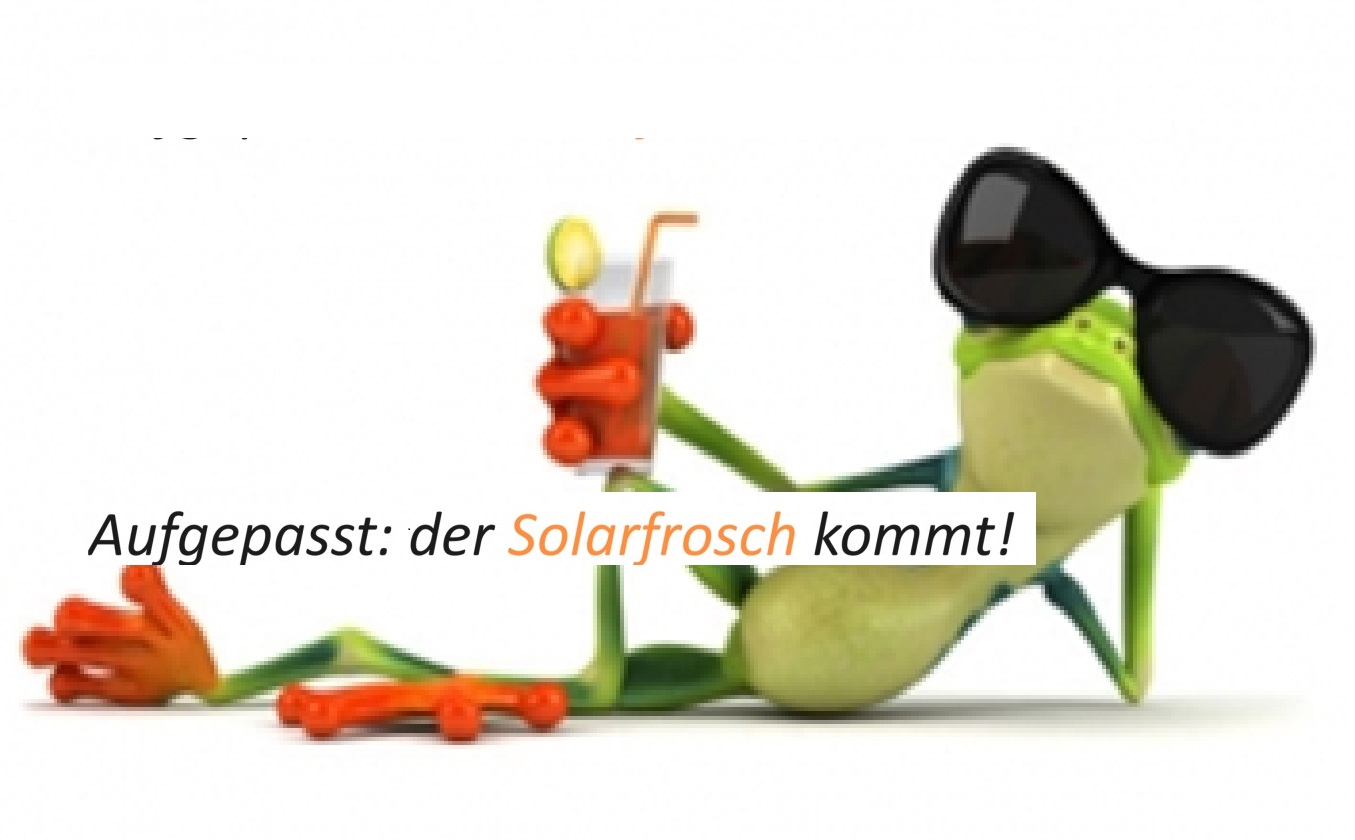 solarfrosch.ch is coming soon