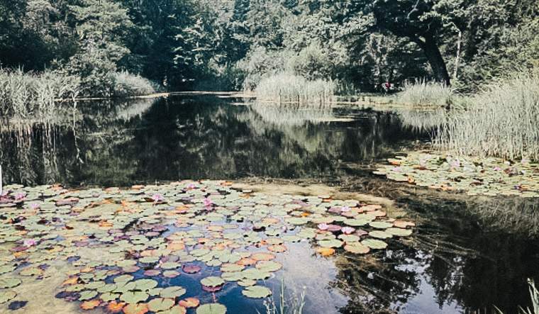 Gerzensee