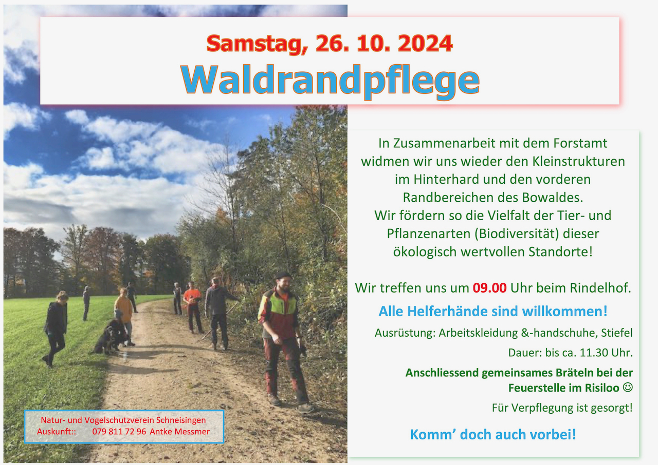 Waldrandpflege 2024