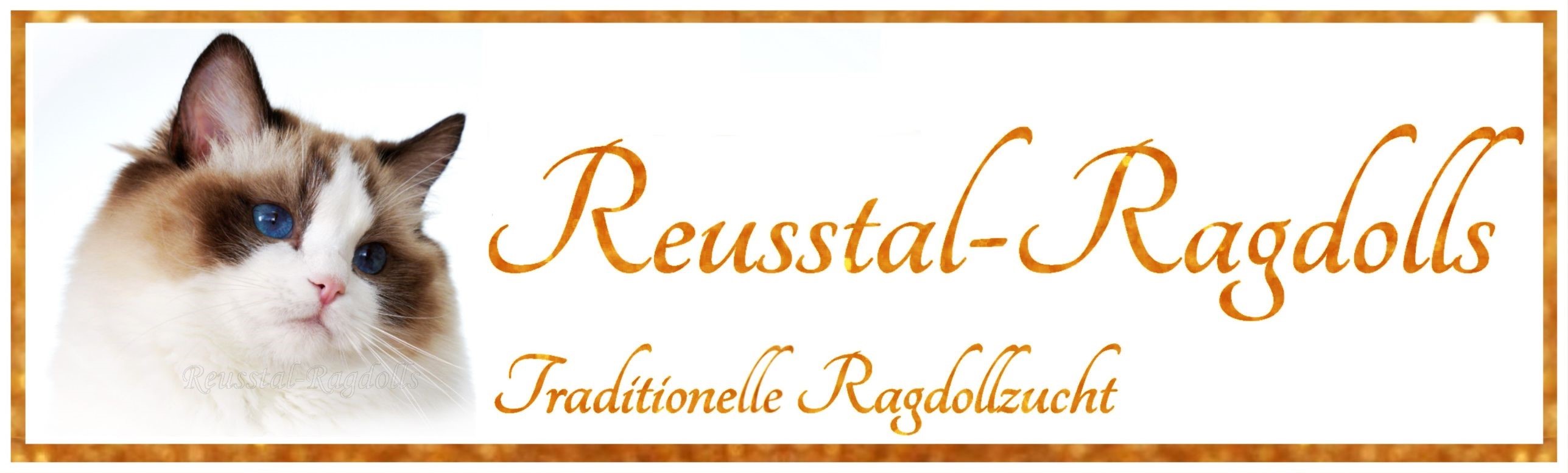 Reusstal-Ragdolls