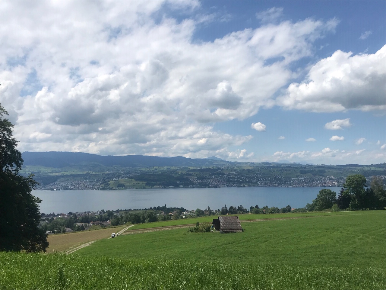6/13 - Long hike from Zurich to Rapperswil