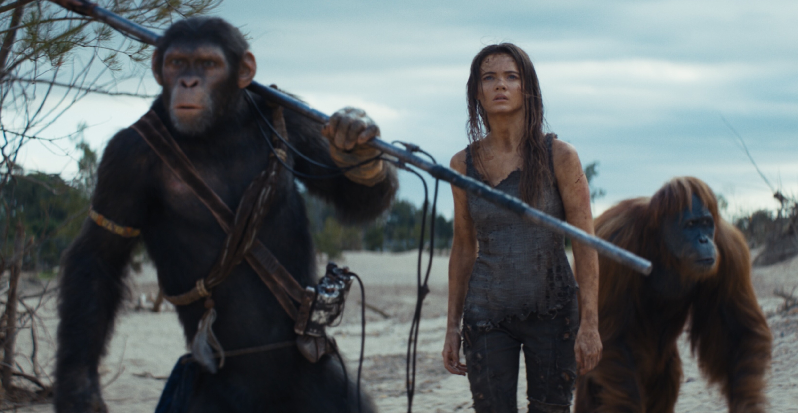 20240511_Kingdom of the Planet of the Apes_001xjpg