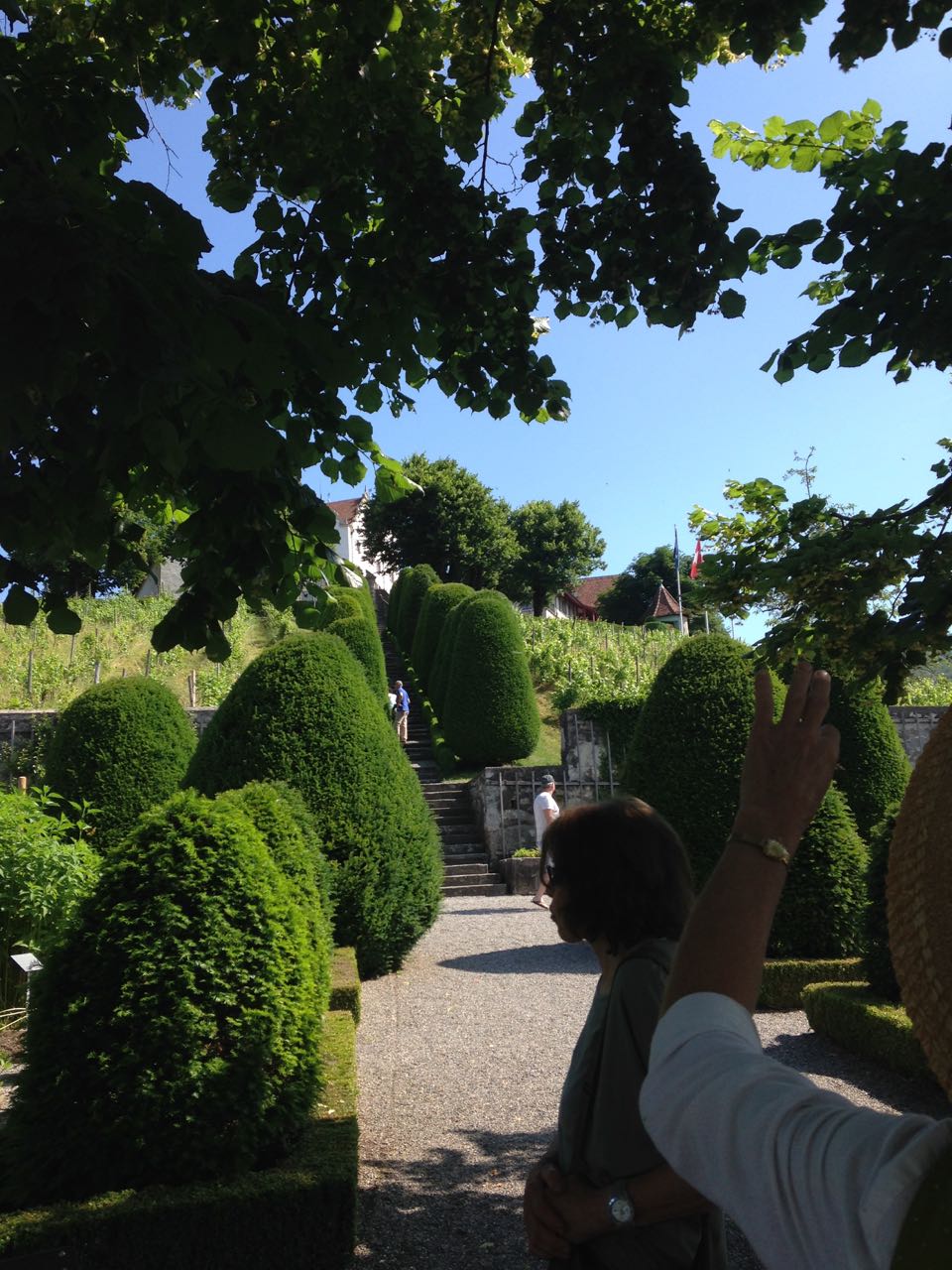 Gartenanlage Schloss Wildegg 2015