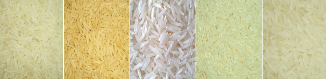 kaimassa_general_trade_company_rice_logopng